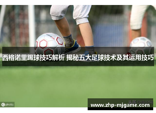 西格诺里踢球技巧解析 揭秘五大足球技术及其运用技巧