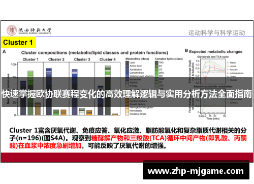 快速掌握欧协联赛程变化的高效理解逻辑与实用分析方法全面指南